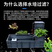 养龟箱沼泽缸生态缸大型过滤器家用鱼缸乌龟缸混合养周转箱免换水
