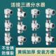 活接三通分流器四分外丝热水器分水器接头水管内丝热水机通水活结