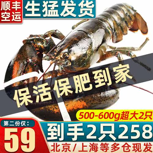 【保活】波士顿龙虾鲜活大龙虾特大波龙奥龙加拿大澳洲海鲜小青龙怎么样,好用不?