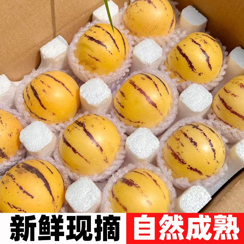 云南石林人参果5斤大果新鲜人叁果水果七彩黄肉圆果人生果包邮5