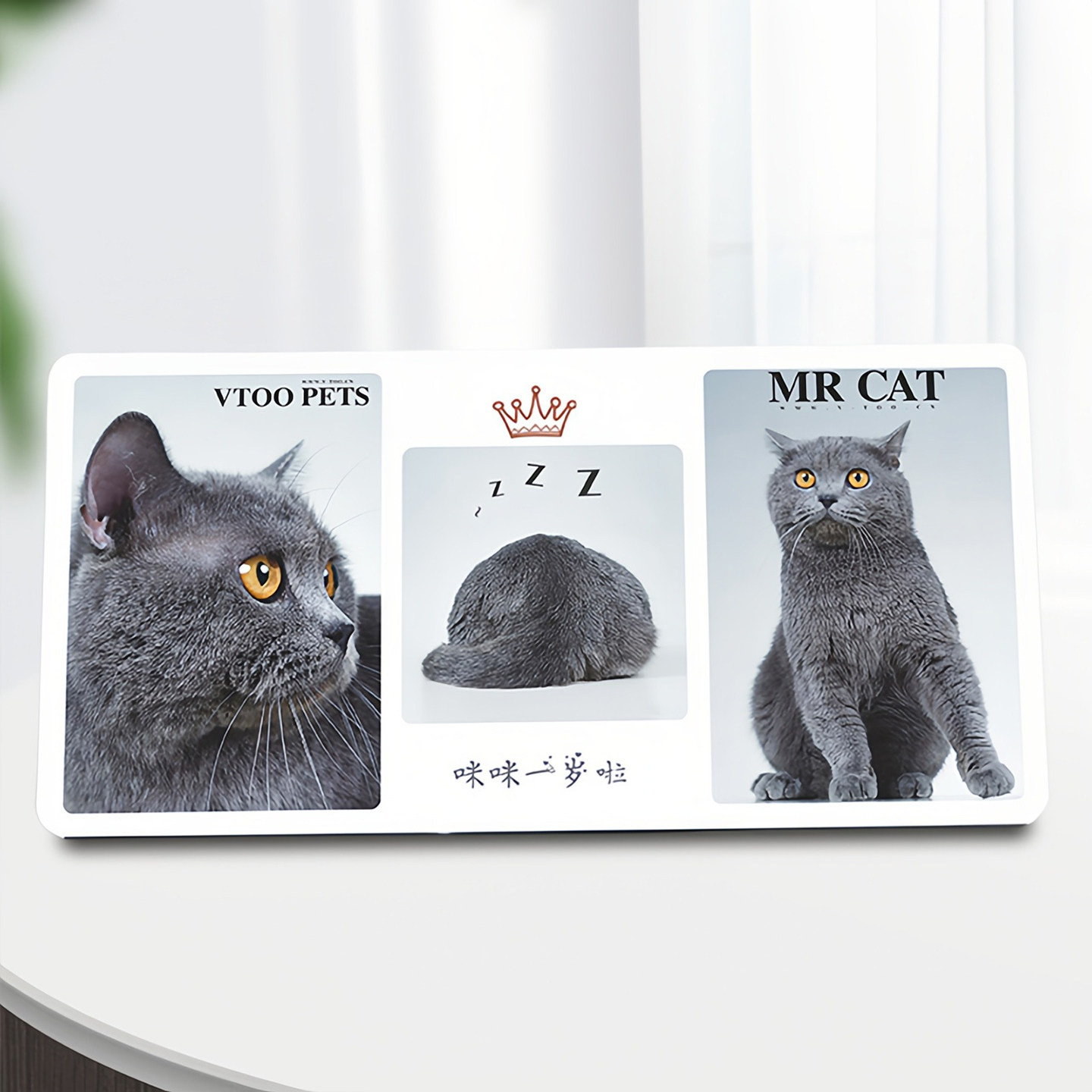 宠物纪念相框狗狗猫咪照片