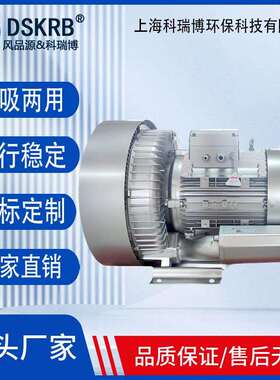 2RB910-7AH1712.5KW生物粪便发酵曝气高压鼓风机