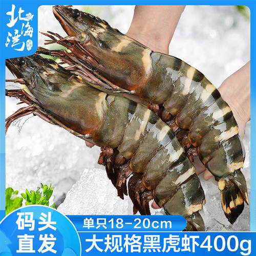 【北海湾】特大黑虎虾新鲜大虾鲜活超大海虾基围虾海鲜越南400g怎么看?