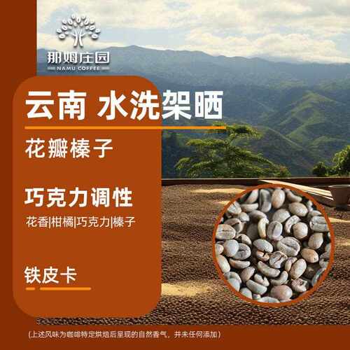 那姆庄园花瓣榛子 水洗铁皮卡精品云南咖啡生豆原料可代烘焙1KG