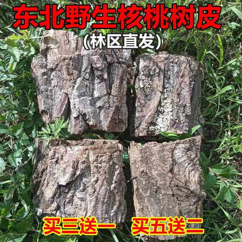 东北长白野生山核桃树皮东北山胡桃皮包邮核桃树枝皮秋子树皮