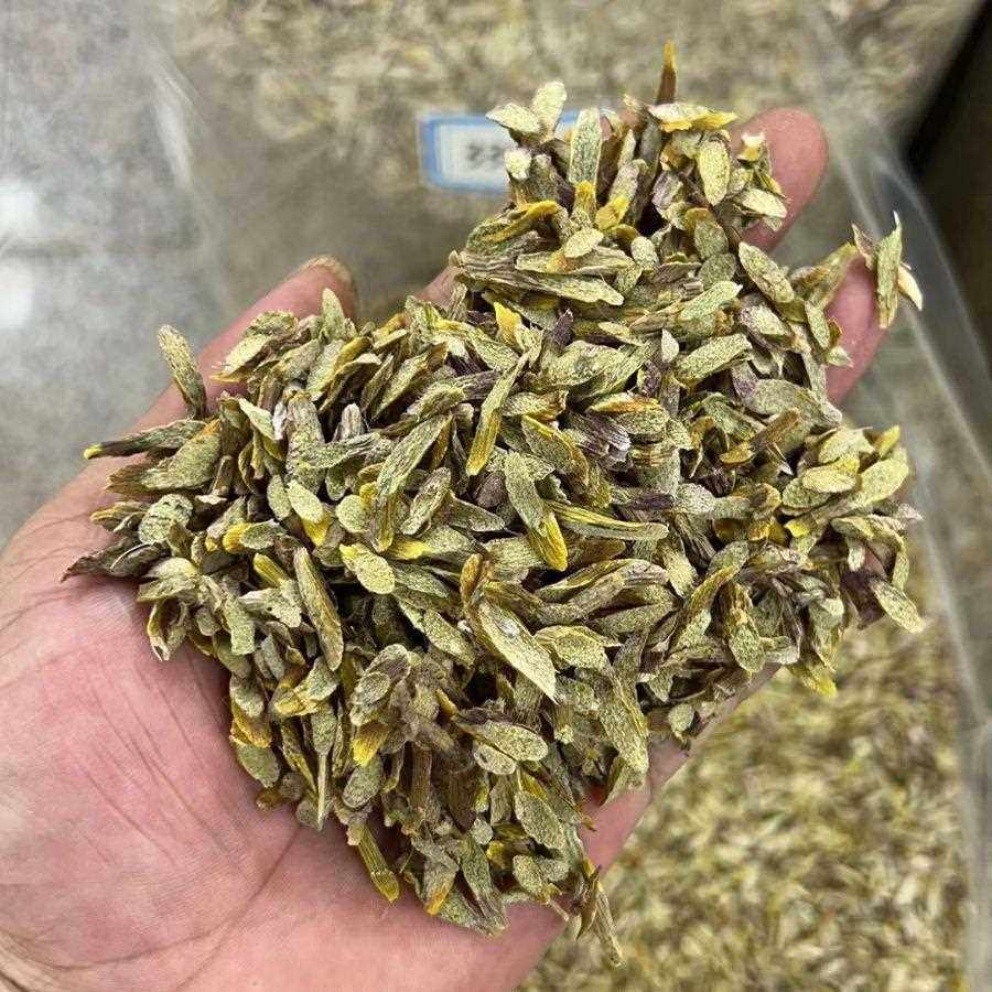 浙江铁皮石斛片枫斗干条切片胶质饱满冲水煲汤料代客打粉