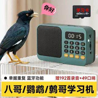 小鸟解闷复读机八哥学说话机玄凤鹦鹉教八哥说话学习机训练器