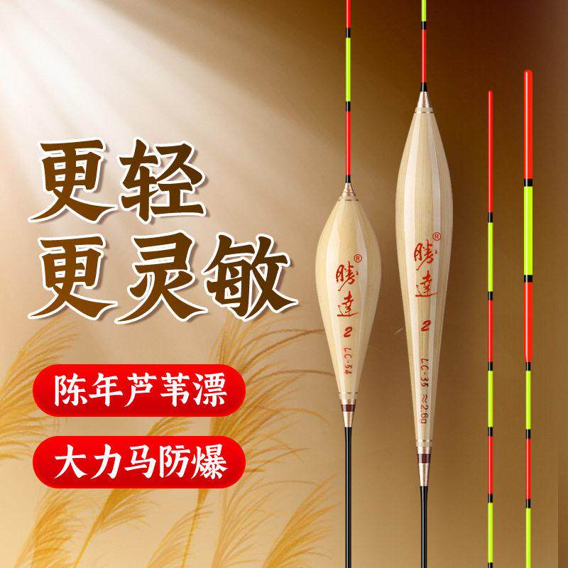 芦苇浮漂 黑坑竞技灵敏度鲫鱼鲤鱼鳔 混养漂醒目加粗防爆顶鱼漂