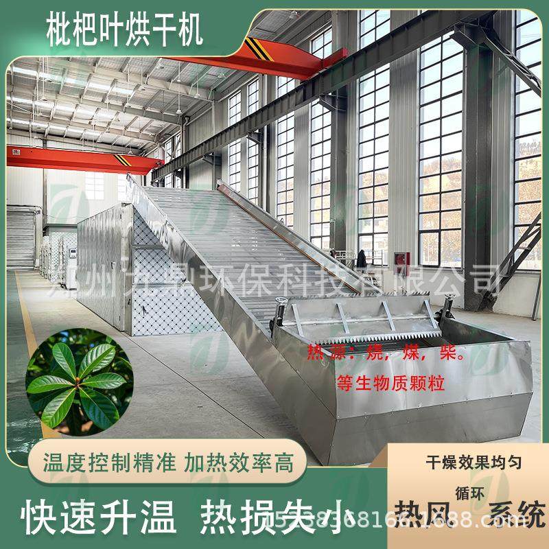 枇杷叶烘干机琵琶叶干燥设备芦桔叶枇杷茶全自动连续式烘干设备