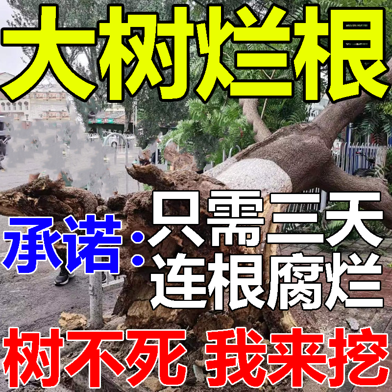 大树烂根除大树专用强力腐树根杀大树根药除树灭竹子枯树一滴死