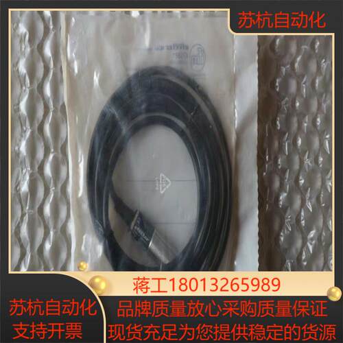 现货促销 全新原装正品 易福门 IG5381