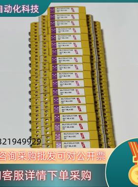 现货原装德国盾牌DEHN  低频防雷模块920324（ BXT