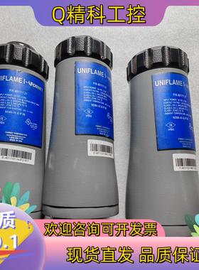 现货401111-21 原产 FORNEY 火检传感器 全新