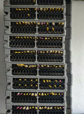 横河DCS卡件AAI135-S00十三片，STYLE的S3有