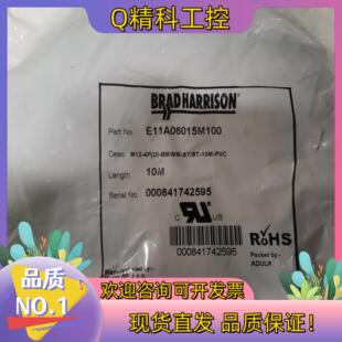 现货连接线E11A06006015M100 0008417425