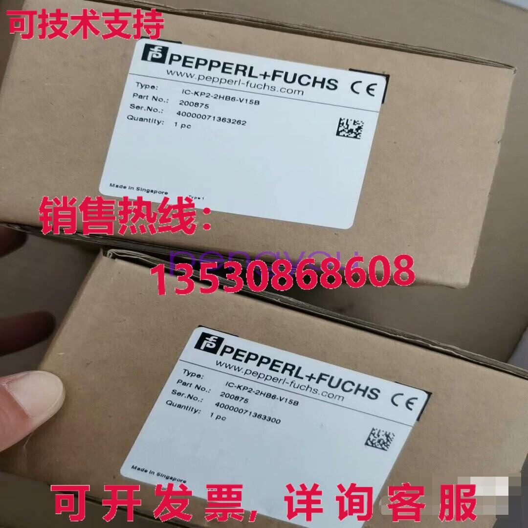 IC-KP2-2HB6-V15B 200875模块库存现货