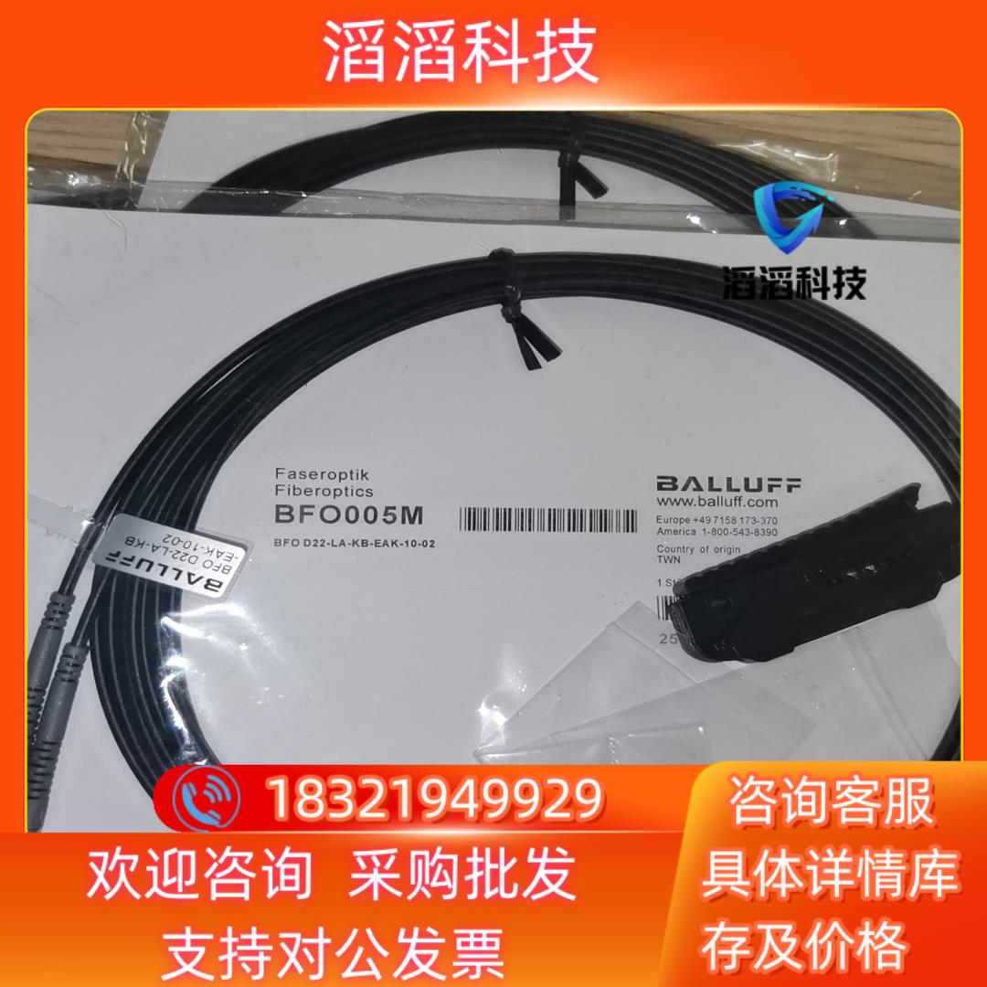 现货巴鲁夫BFO005M
