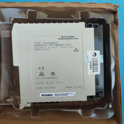 AEG 莫迪康 PLC DAP 217/ AS-BDAP-2