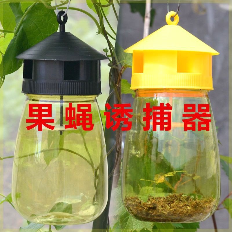 果蝇诱捕器果园菜地瓜果实蝇针蜂  果蝇引诱剂内含捕抓器诱剂包邮