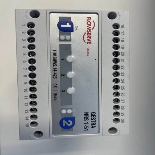 Gestra Flowserve NRS 1-51水位限制器