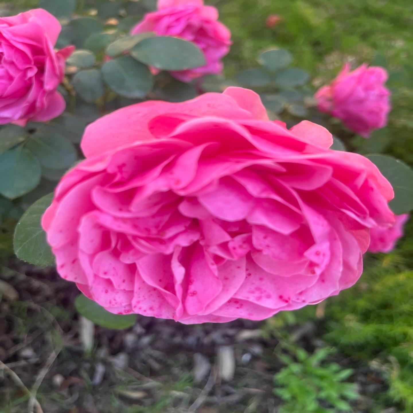 康耐视CCB-M12X12FS-05