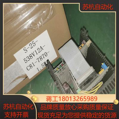 德国巴马格 barmag  BVS-25-538V12 型号