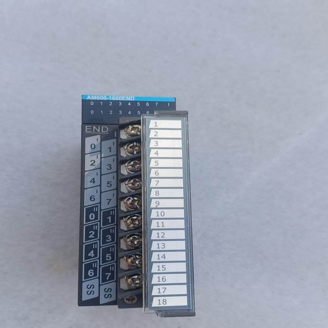 AM600-1600END 汇川 模块