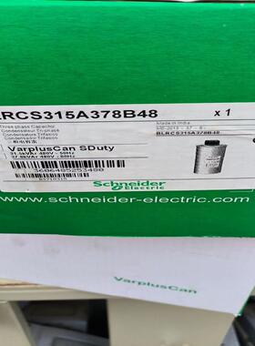 电容器 BLRCS315A378B48  全新原装
