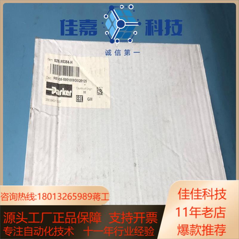 026-95384-H R6V06-5951009G0QB1