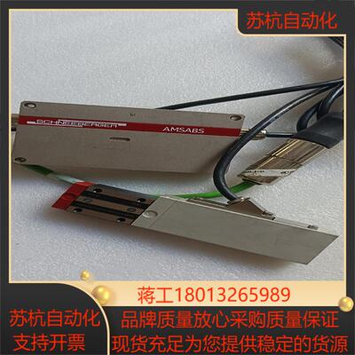 SCHNEEBERGER施耐博格 AMSABS 一体测距系统