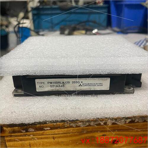 (非标价)PM100RLA120 203G功能包好成色如图