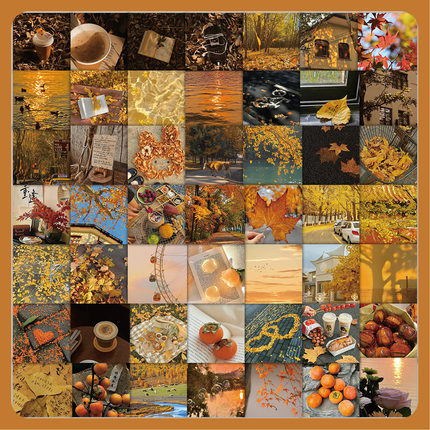 60张秋日橘柚香贴纸ins风手帐创意装饰笔记本文具手账diy电脑贴画