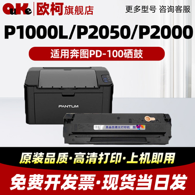 适用奔图PD-100硒鼓P1000L