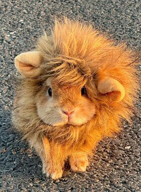 狮子头套小猫小狗卡通毛绒帽子防舔咬伊柔软伊丽莎白圈小兔子头饰