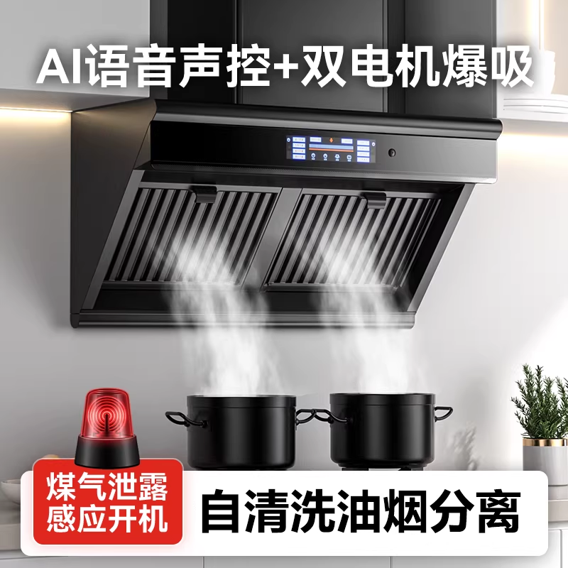 路易好太太抽油烟机厨房家用大吸力出租房抽烟机双电机小型油烟机