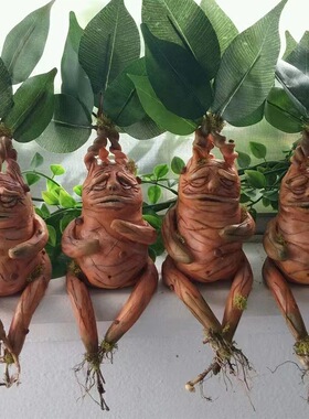 新品曼德拉树脂摆件Mandrake家居装饰曼德拉树脂工艺品