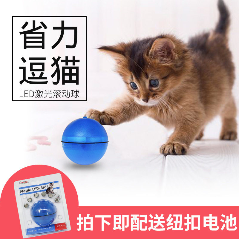 宠物LED闪光滚动球猫狗玩具发光图片