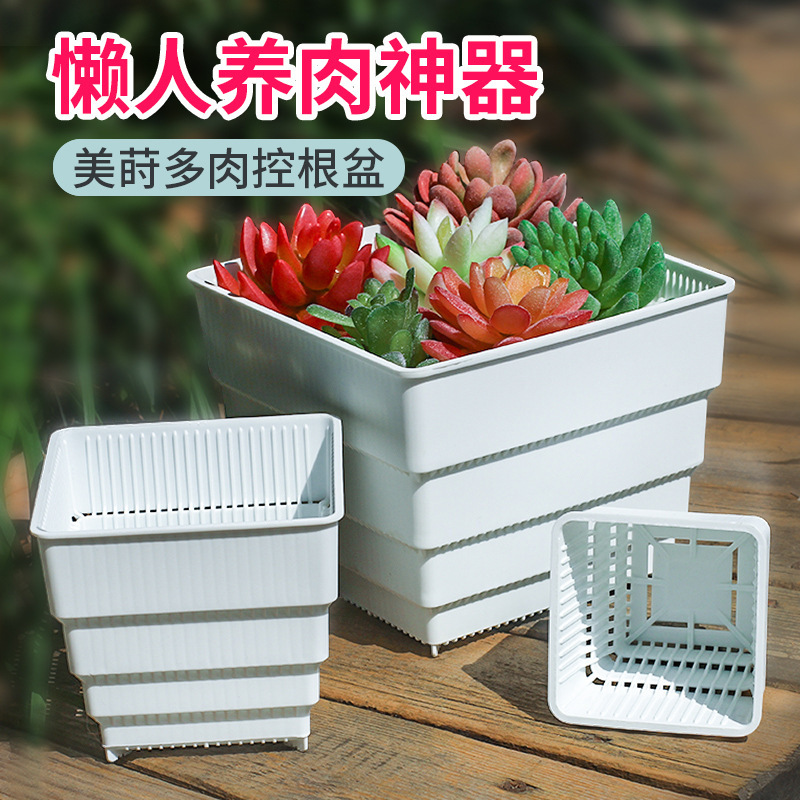 新款 控根多肉花盆大口径塑料肉肉石斛万象方形大小号专用透气花