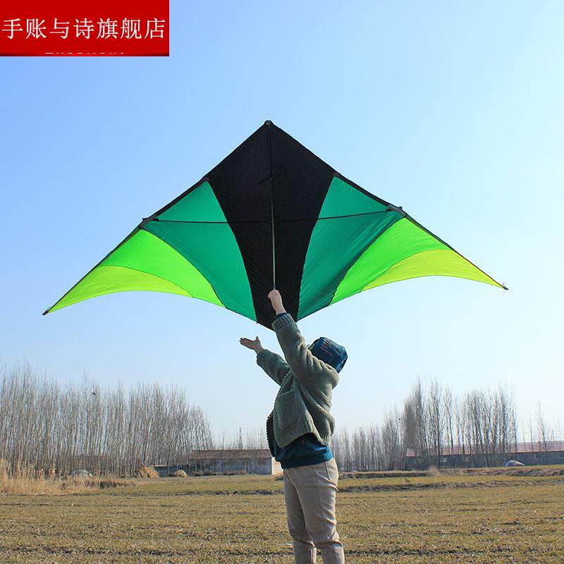 大草原风筝王侉子544软伞布碳杆微风大型成人高档三角2022年新款