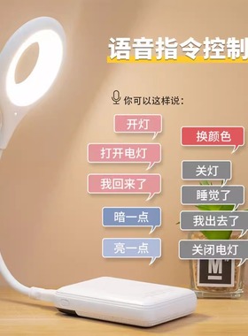 柔光卧室LED声控灯感应床头灯人工语音控制小夜灯智能USB插电台语音小夜灯