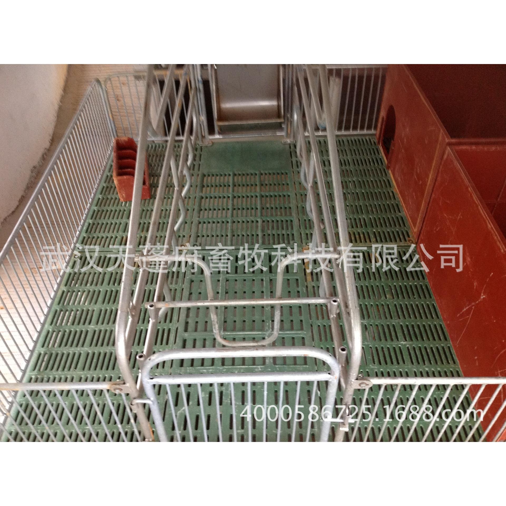 厂家直销 BMC母猪漏粪板 复合母猪板 全漏缝母猪板