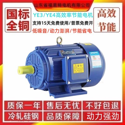 精选YE3/YE4/YE5三相电机11/15/18.5/22/30/37/45/55/75/90KW2.4/