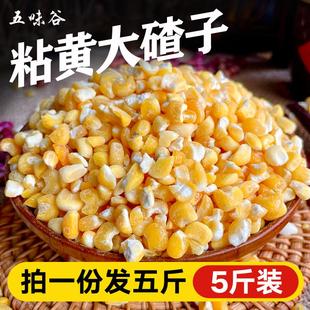 东北大碴子粥组合黏糯黄白笨碴子粒茬渣红花芸豆五谷杂粮粘玉米糁