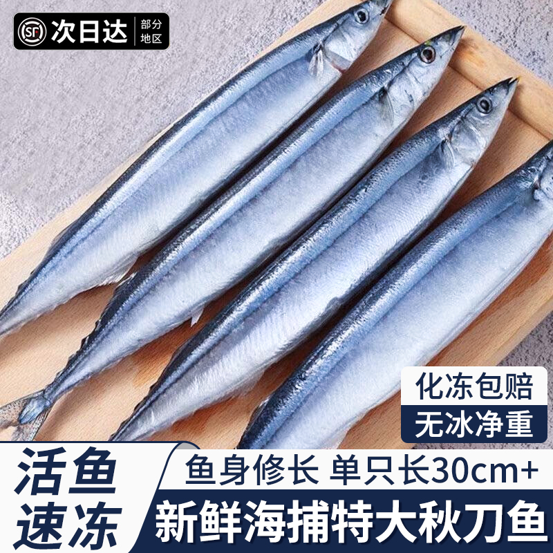 深海秋刀鱼新鲜海捕特大号
