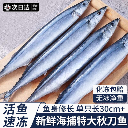 深海秋刀鱼新鲜海捕特大号