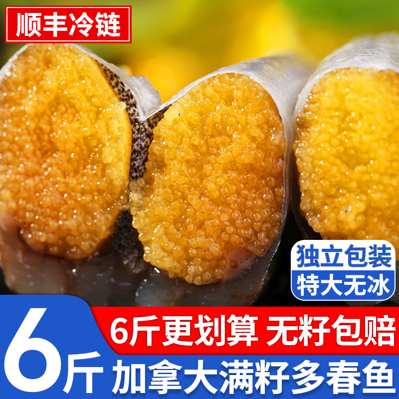 满籽多春鱼新鲜带籽多春鱼