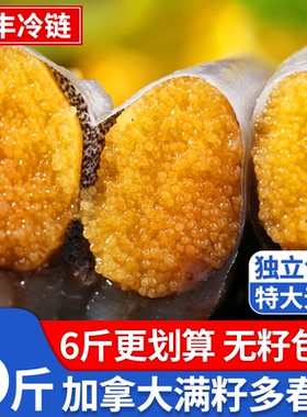 满籽多春鱼新鲜急冻海捕带籽多春鱼宝宝多籽鱼烧烤食材商用