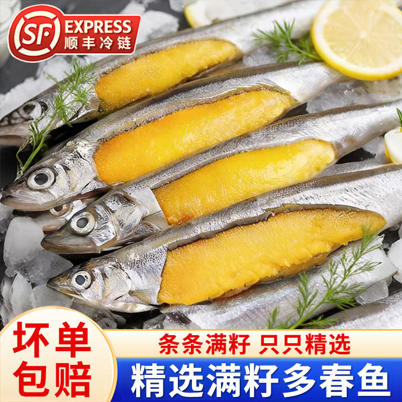 多春鱼满籽新鲜人吃籽鱼冷冻海鲜水产鲜活超特大海鱼烧烤食材商用