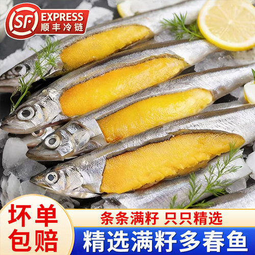 满籽新鲜冷冻多春鱼商用烧烤