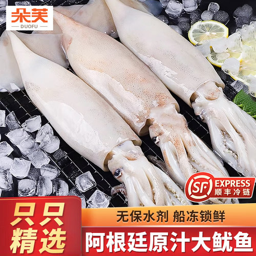 海捕船冻超大整只鱿鱼
